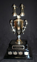 Large Team Trophy